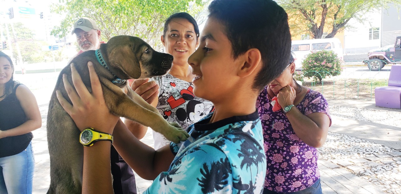 Instituto Quatro Patas realizará mais um evento de adoção “Amigo não se compra”