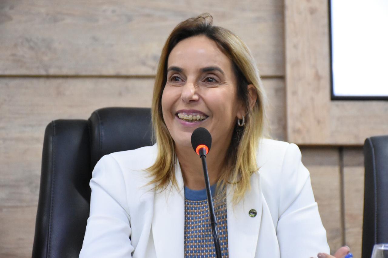 Alessandra Vieira sinaliza interesse em assumir a presidência do PSDB de Pernambuco