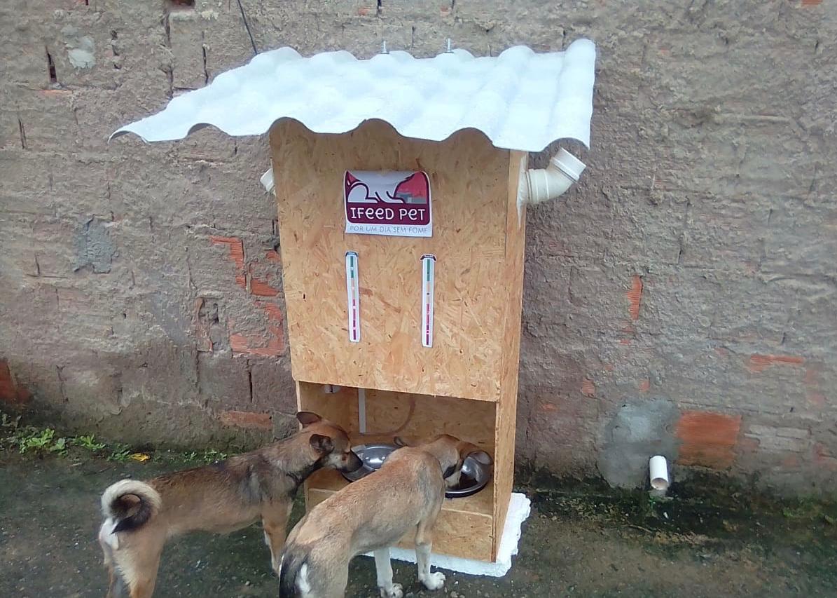 Estudante cria equipamento que fornece água e comida para animais de rua