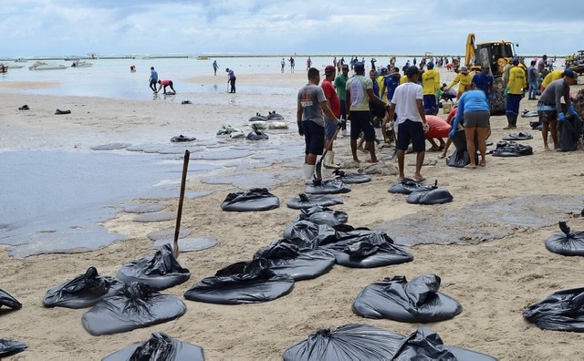 Governo do Estado retira cerca de 20 toneladas de óleo do litoral pernambucano