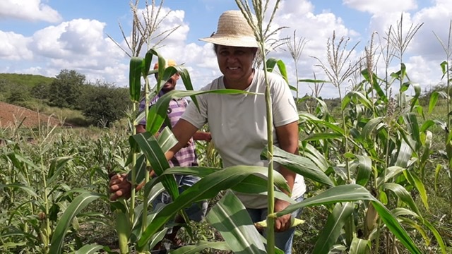 Doriel Barros destina mais de 90% das emendas para o campo