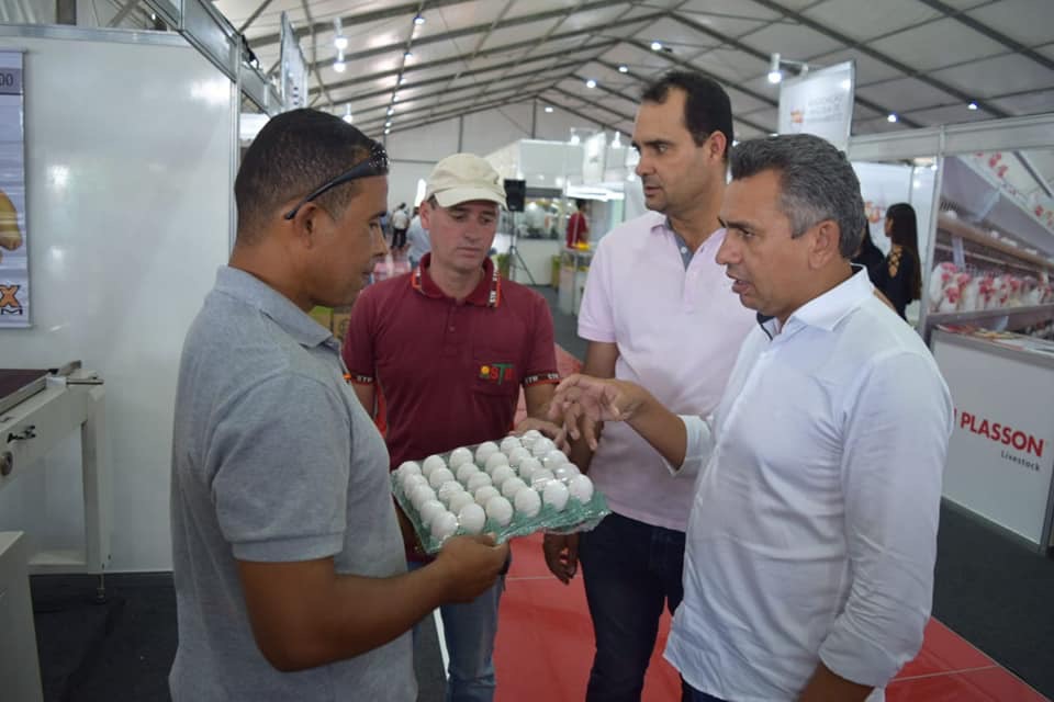 Audiência pública vai pautar os desafios da cadeia produtiva da avicultura em Pernambuco