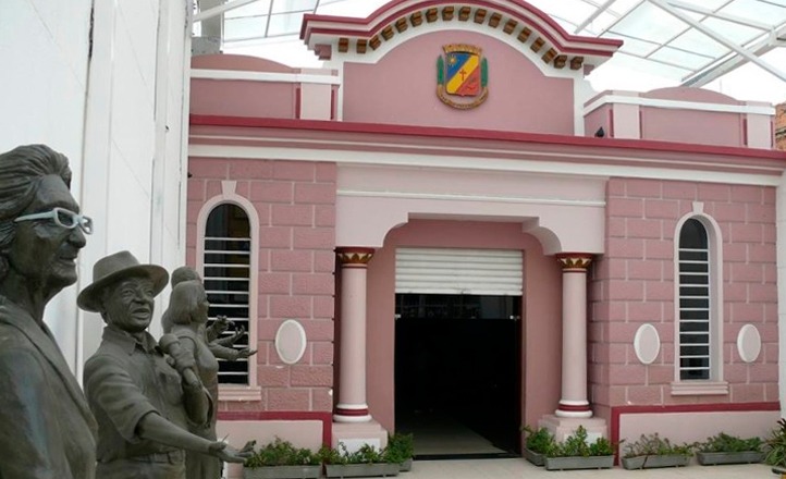 Câmara de Caruaru vota reajuste para agentes de endemias