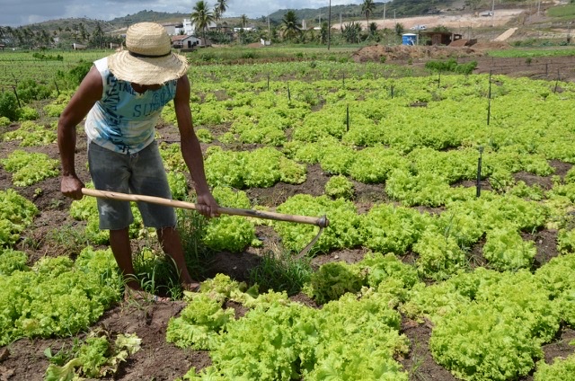 Secretários de agricultura do Nordeste apresentam propostas para a agricultura familiar