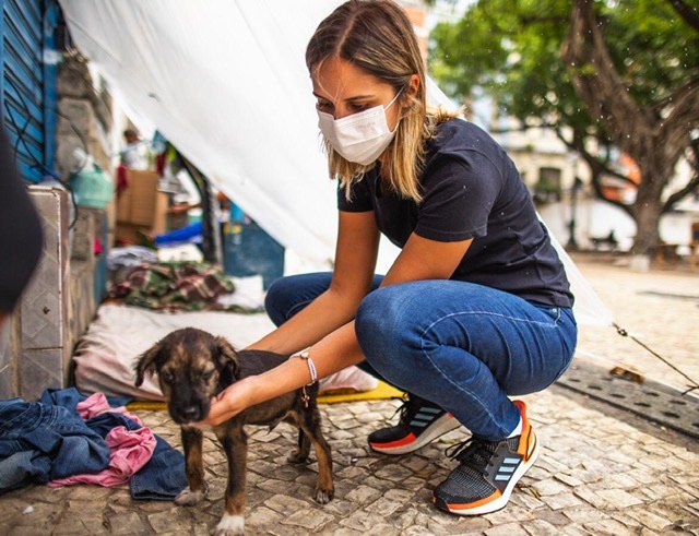 Deputado cria campanha para ajudar animais abandonados