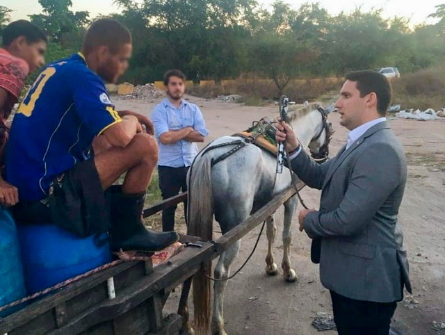 Abaixo-assinado pede o fim dos veículos de tração animal em Pernambuco