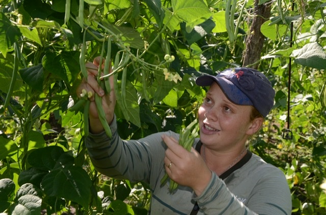 Pernambuco garante R$ 32,4 milhões para produtos da agricultura familiar