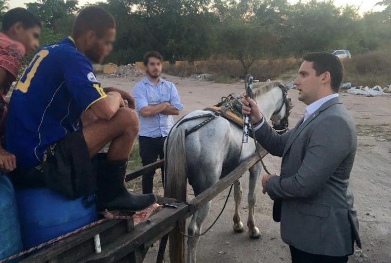 Multa mais cara para quem maltratar animais em Pernambuco