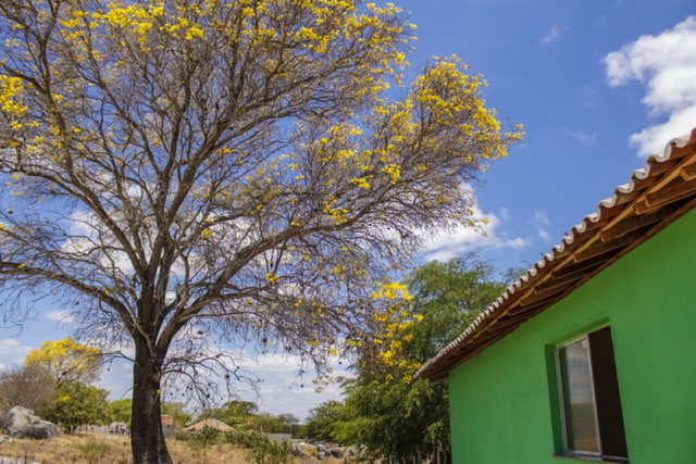 A versão da Prefeitura de Caruaru sobre a denúncia do vereador