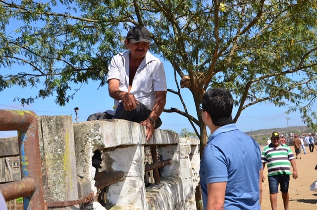 Lessa pede estudo para retomada das feiras de gado