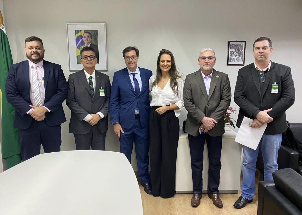 Membros do Aliança pelo Brasil se reúnem e deixam divergências de lado