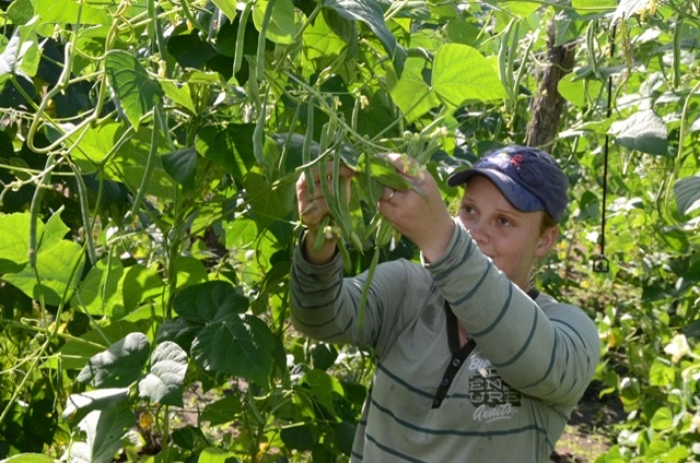 Trabalhadores rurais começam a receber o Garantia-Safra em novembro
