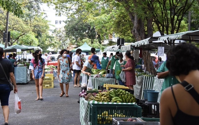 Recife é a capital com maior número de feiras orgânicas do País