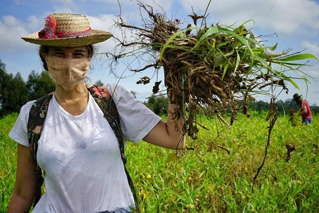 BNB capta recursos para linha de crédito dedicada a mulheres