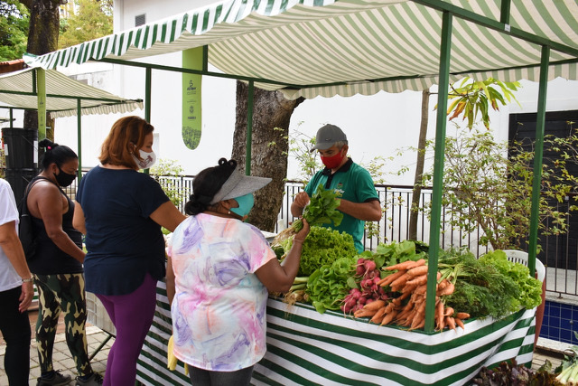 Paulo Câmara sanciona Política Estadual de Agroecologia