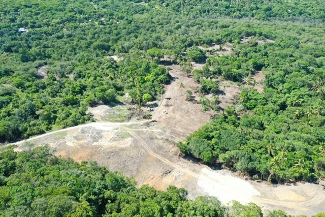CPRH multa empresa por desmatamento em Paulista