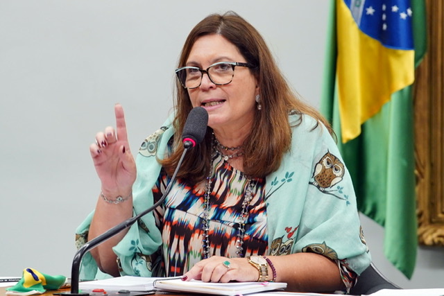 Deputados acionam Conselho de Ética da Câmara contra Bia Kicis