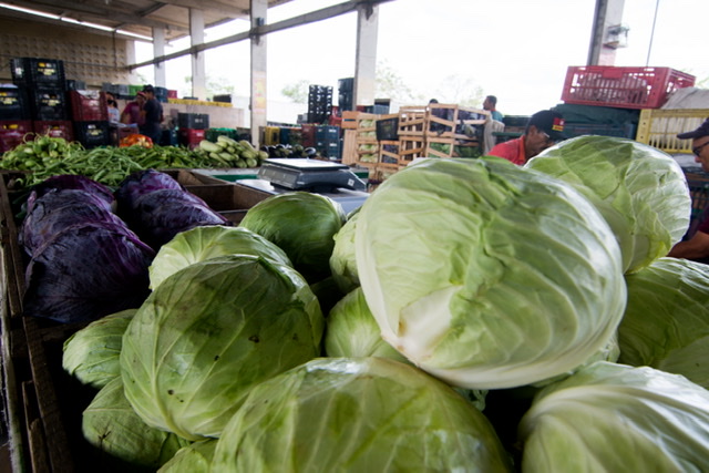 Ceaca funcionará com restrições durante quarentena