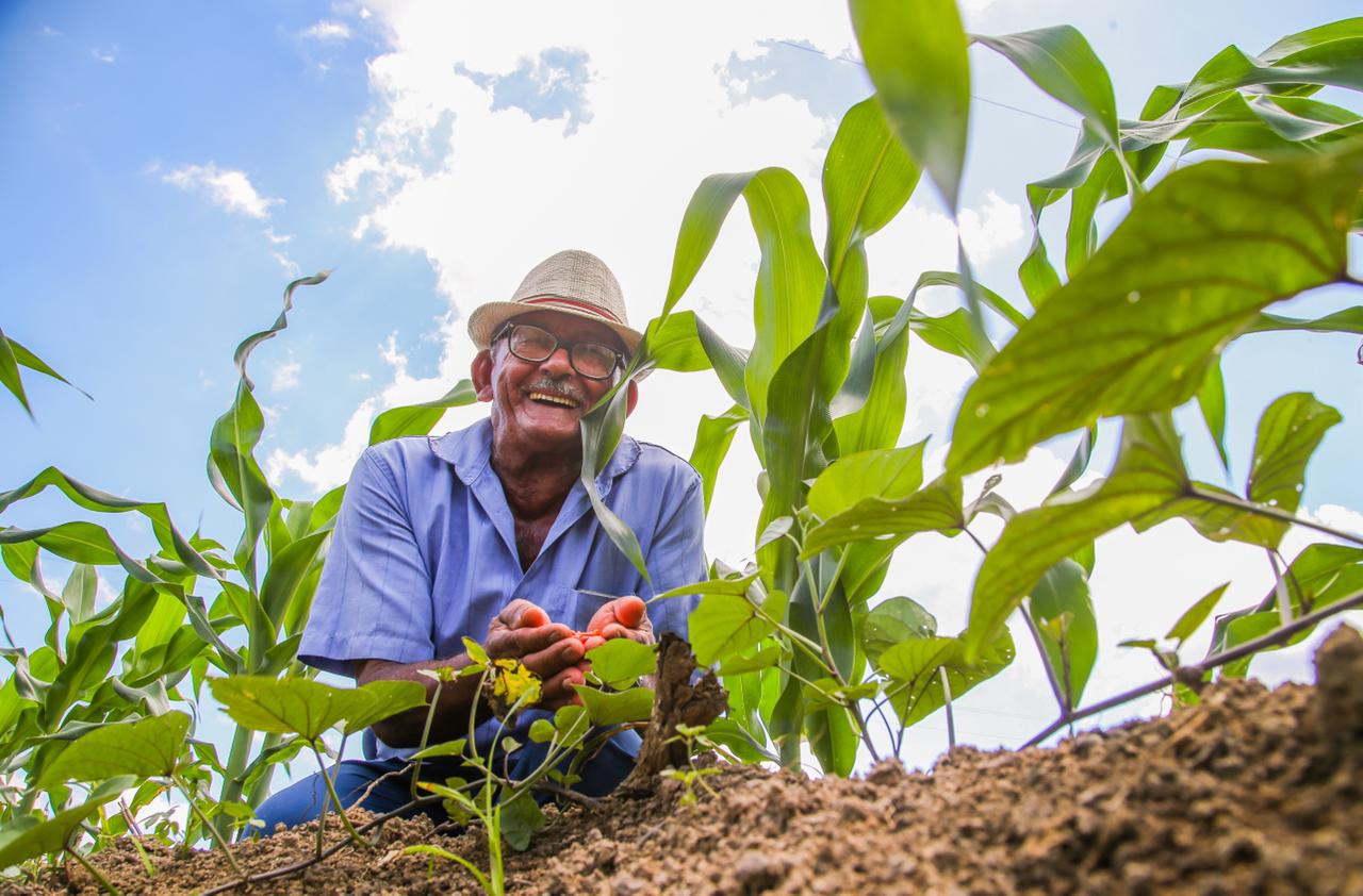 Famílias de agricultores do Cabo recebem sementes de milho para a próxima safra