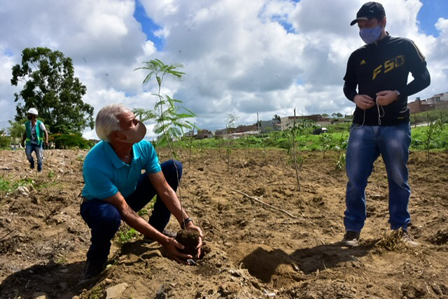 Áreas de preservação ambiental de Caruaru recebem plantio de mudas