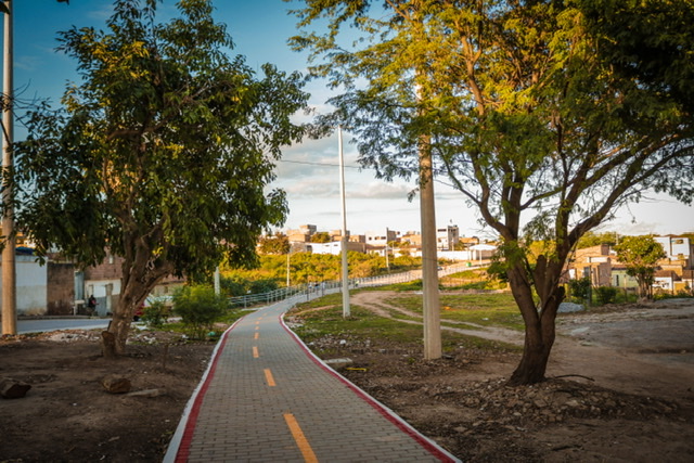 Veja como ficam as atividades durante quarentena no Agreste