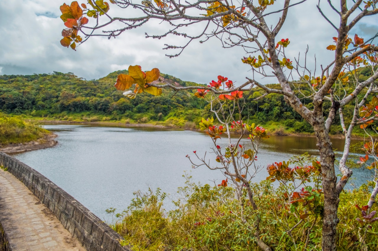 Parque Natural de Serra dos Cavalos completa 38 anos