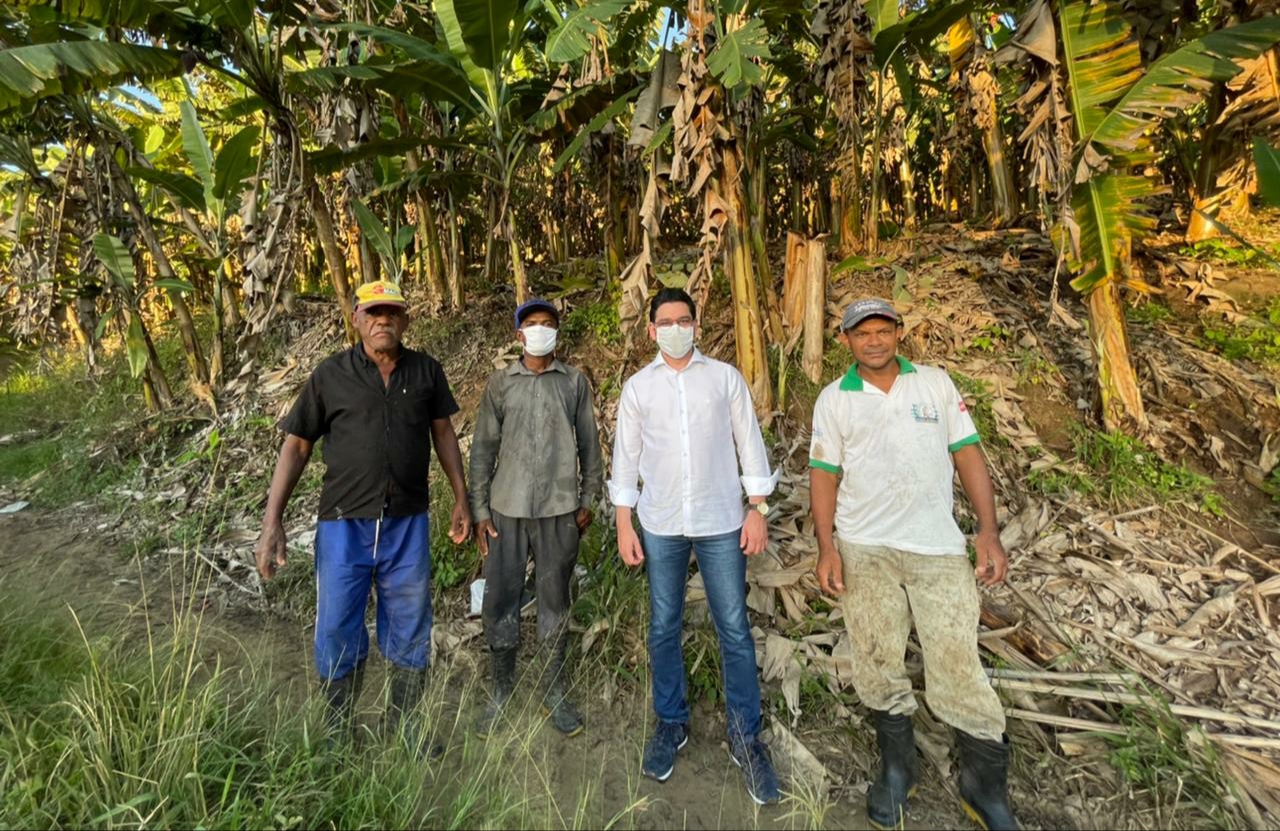 Pernambuco terá programa para qualificar produtores de banana