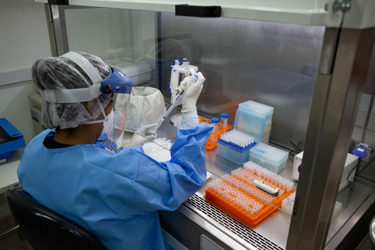 Estudos ratificam predomínio da variante Gama em Pernambuco