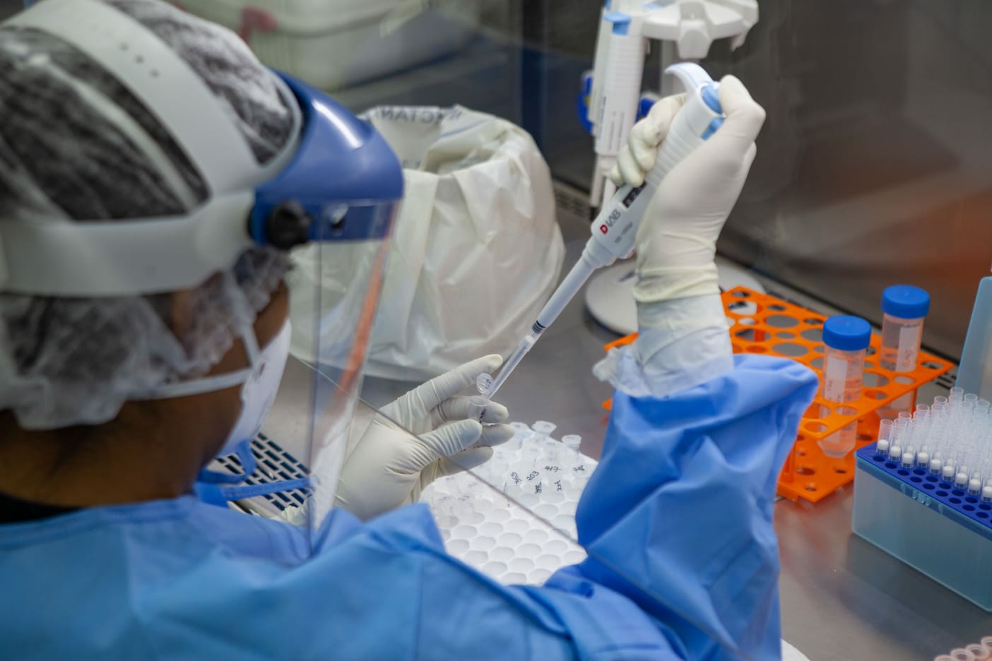 Variante Gama prevalece em novo sequenciamento genético