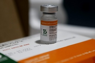 Pernambuco recebe mais de 270 mil doses de CoronaVac