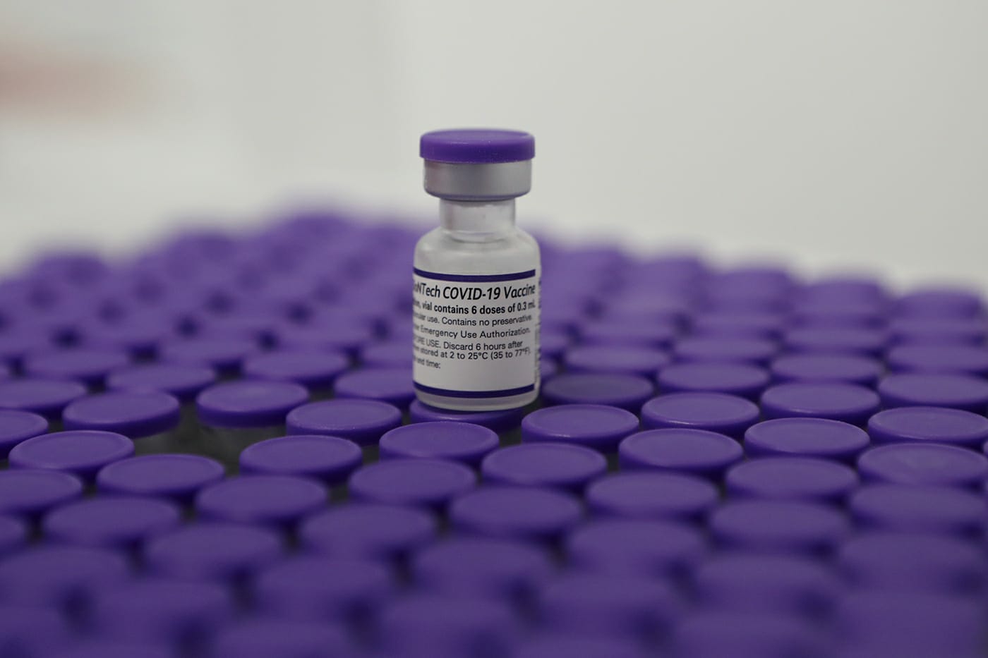 Pernambuco recebe mais de 300 mil doses da Pfizer