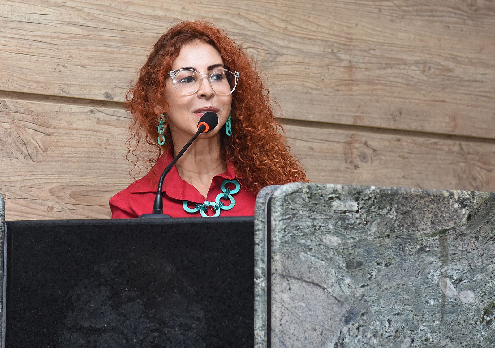 Perpétua Dantas celebra vitória de Doria nas prévias