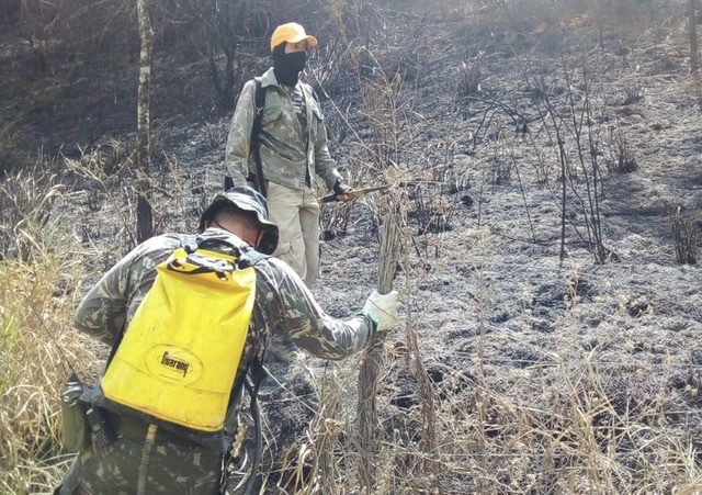 Comissão de Meio Ambiente da Câmara de Caruaru emite nota sobre incêndio em Serra dos Cavalos
