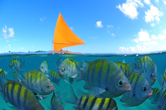 Pernambuco se destaca na retomada das atividades turísticas