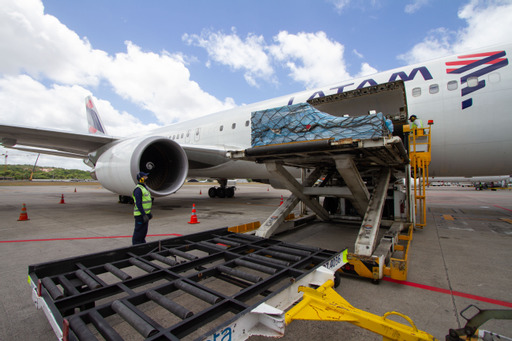 Mais 284.310 doses da Pfizer chegam a Pernambucano