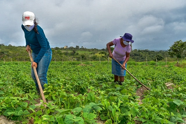 Agricultores de Pernambuco poderão tirar CNH gratuita