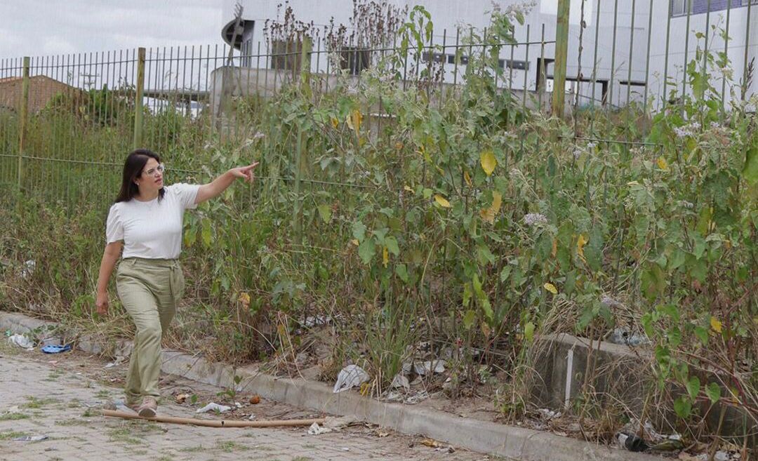 Priscila comenta licitação para retomada do Hospital da Mulher de Caruaru