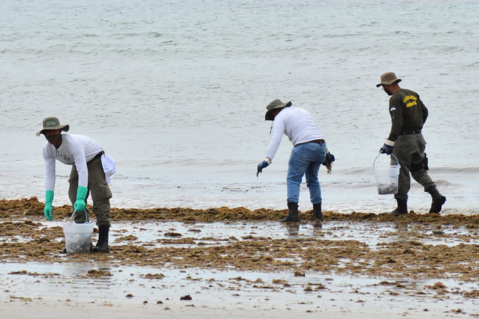 Ipojuca é reconhecida como a cidade que combate o lixo no mar