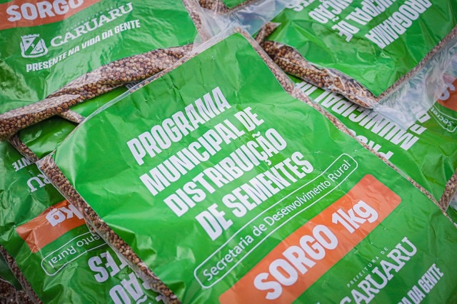 Agricultores de Caruaru recebem sementes de milho e feijão