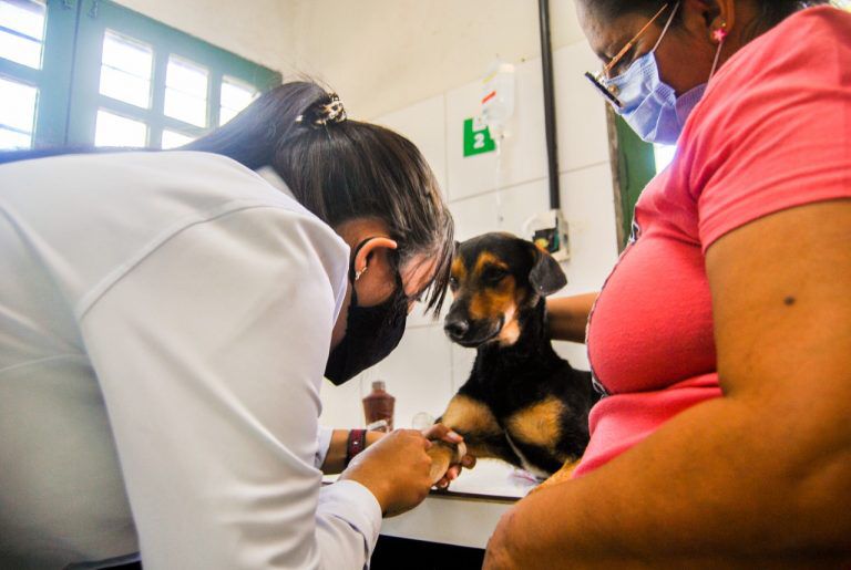 Prédio da AME Animal Caruaru se tornará Casa de Passagem