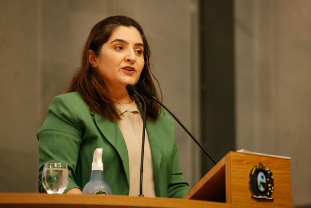 Deputada Dulci Amorim sofre acidente na BR-407