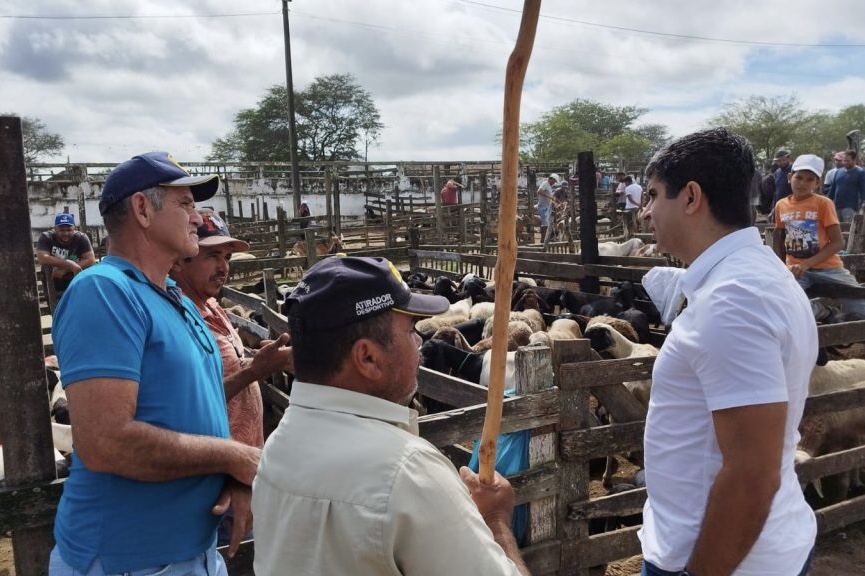 Lessa busca melhorias para feira de ovelhas de Caruaru