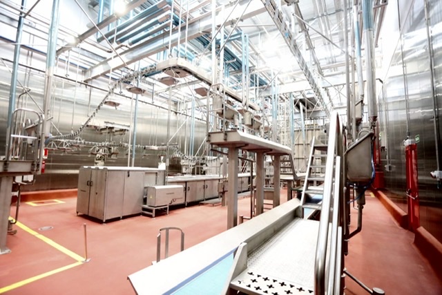 Masterboi vai gerar mais de 4 mil empregos em Pernambuco 