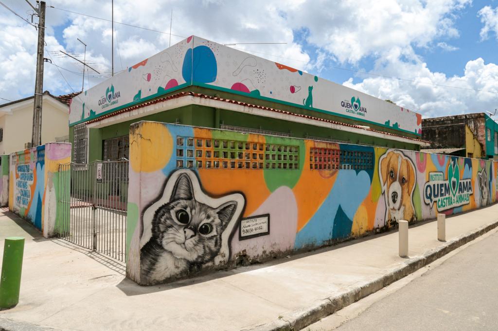 Prefeitura do Cabo lança programa de castração de animais 