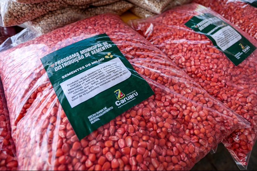 Agricultores de Caruaru recebem mais de sete toneladas de milho 