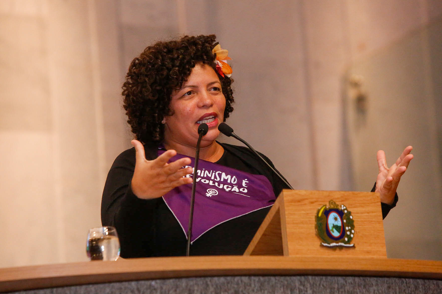 Líder da oposição critica formato de bancada na Alepe