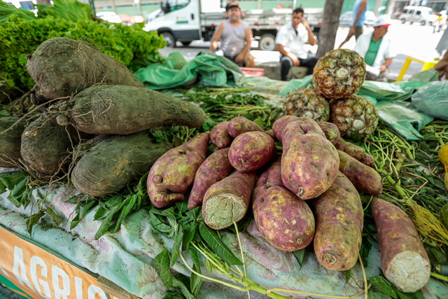 Adagro monitora resíduos de agrotóxicos em feiras orgânicas