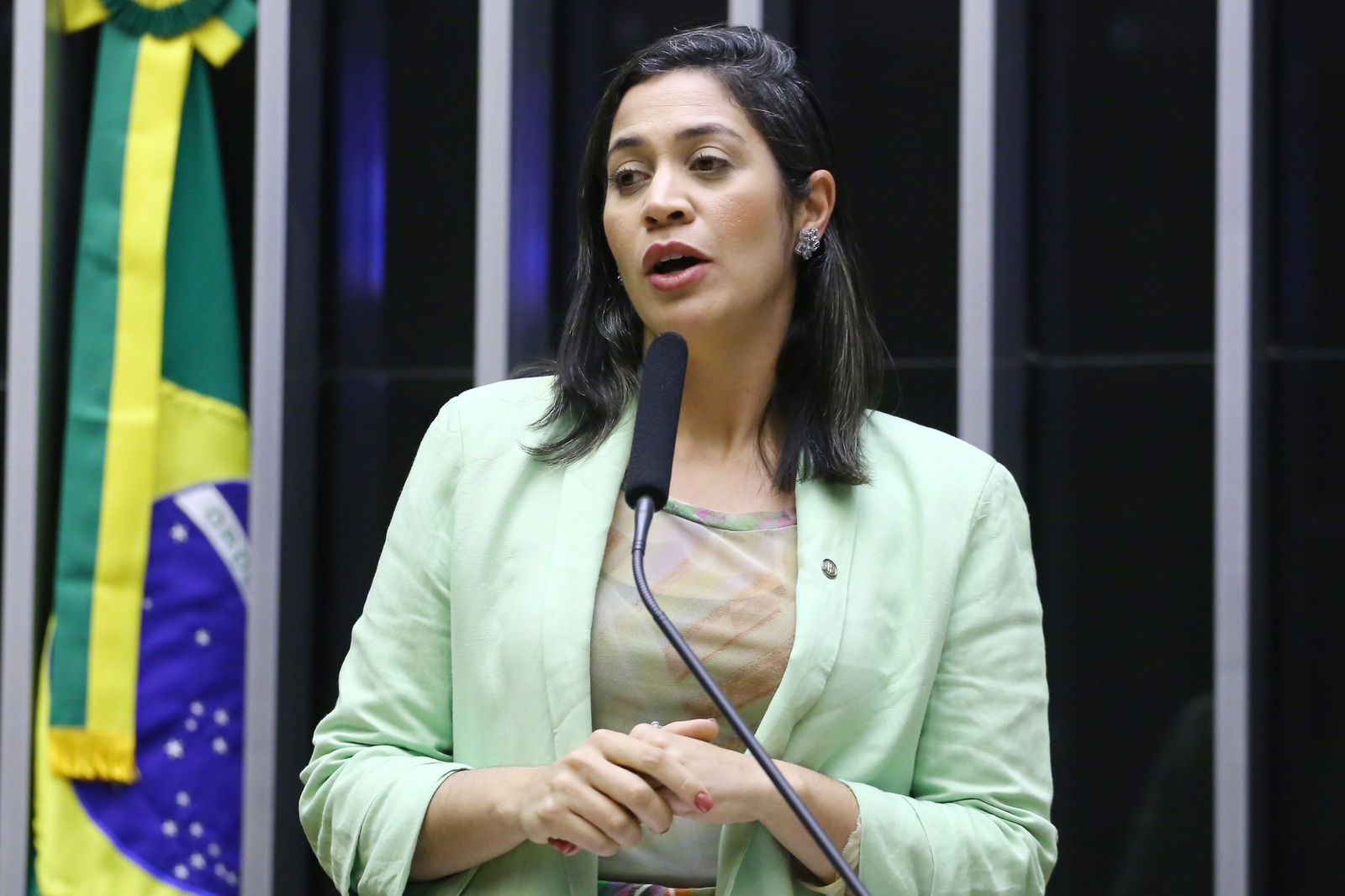 Iza quer aumento de pena para importação de resíduos sólidos perigosos e rejeitos