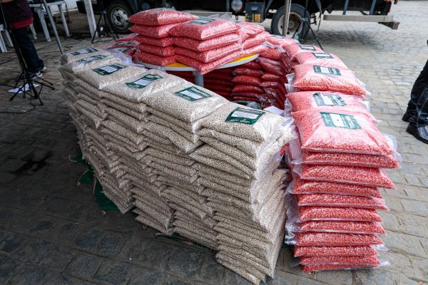 Prefeitura de Caruaru zera estoque de sementes