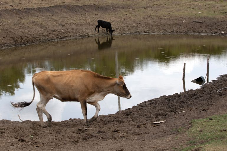 Mais cinco cidades de PE entram em situação de emergência devido à estiagem